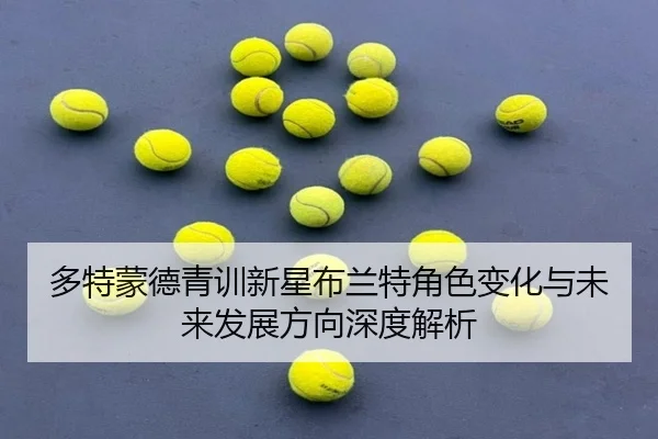 多特蒙德青训新星布兰特角色变化与未来发展方向深度解析