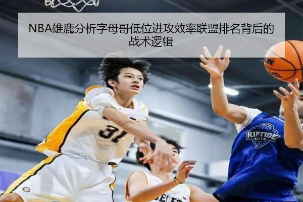 NBA雄鹿分析字母哥低位进攻效率联盟排名背后的战术逻辑
